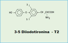 Diiodotironine T2