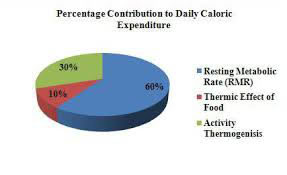 Percentage contribution to daily caloric expemditure