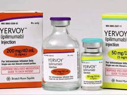 YERVOY