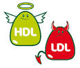 Colesterolo HDL ed LDL