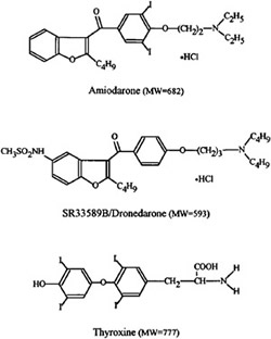 Dronedarone, Amiodarone e Tiroxina