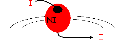 NIS