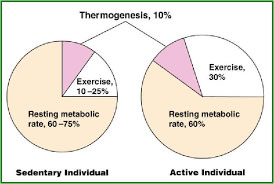 Thermogenesis