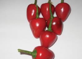 peperoncino gastrite