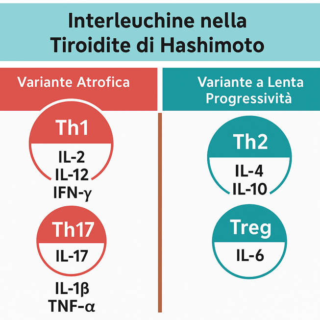 img/immagine1.png